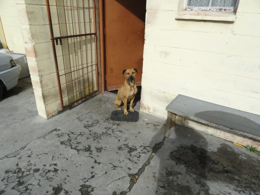 2 Bedroom Property for Sale in Salberau Western Cape